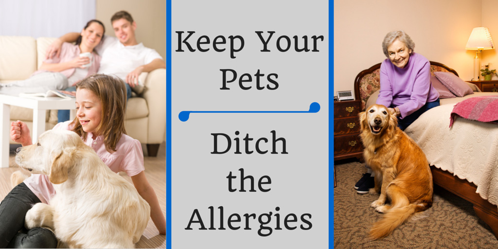 Keep Your Pets, Ditch the Allergies